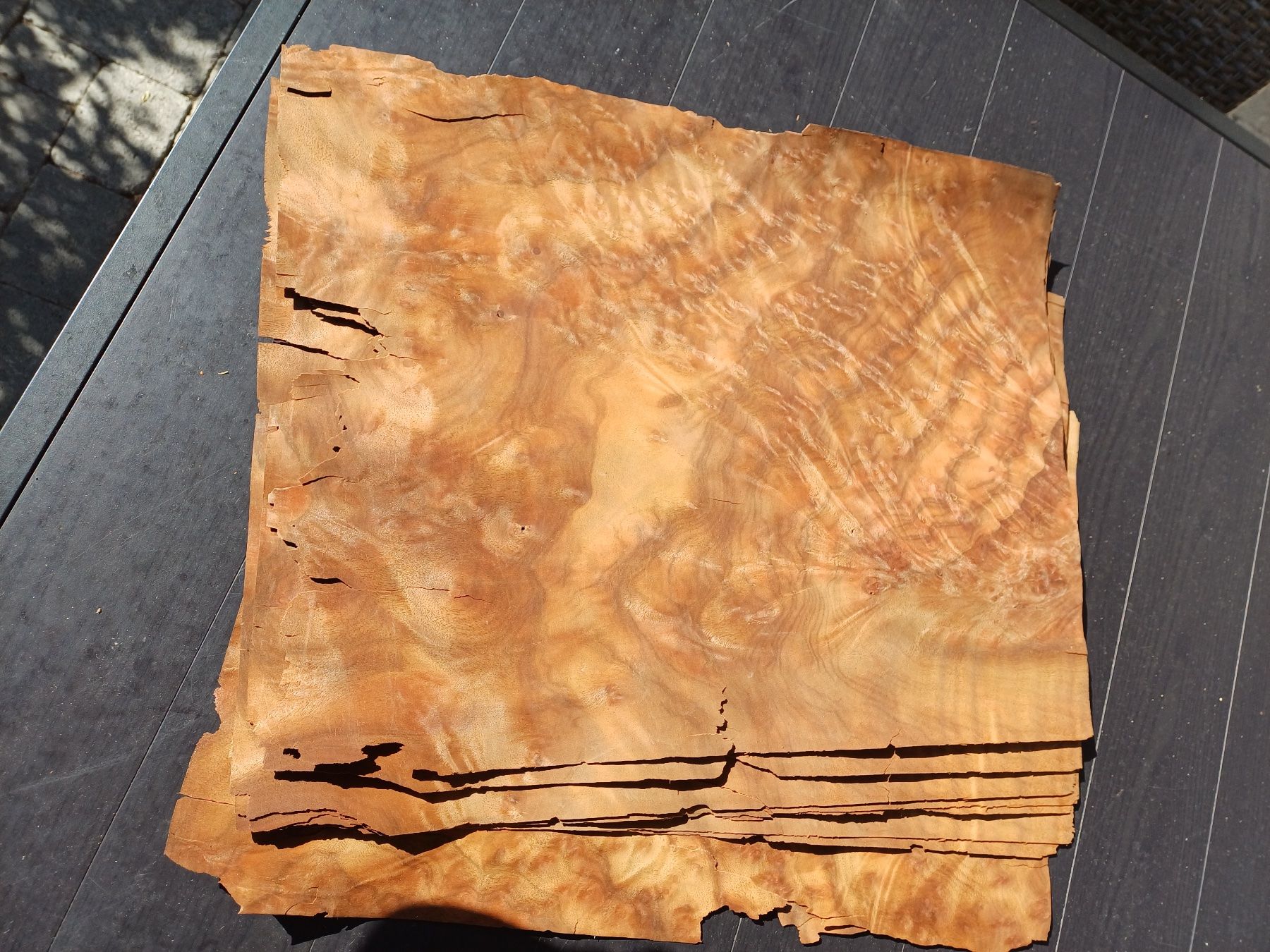 Articoli in legno: Edelholzfurniere – Nuovo (secondo la descrizione) da Freudwil venduto da magf