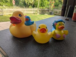 Quietsch Entenfamilie / Badeente (6 teilig)