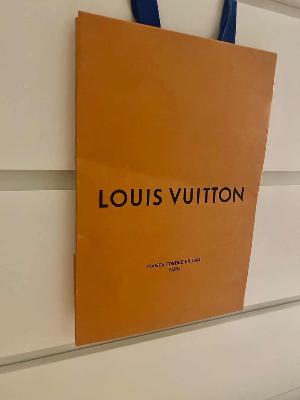 Chanel Taschen: Gift Paper bag Tüte Louis Vuitton – Gebraucht aus Zürich von Ferienan 1
