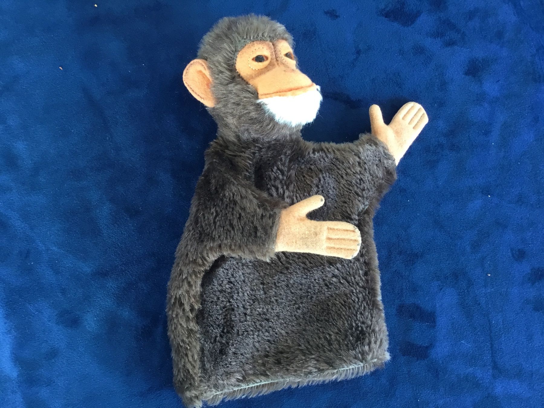 Steiff Giocattoli: Steiff Handpuppe Affe Jocko – Usato da Gossau ZH venduto da ClaudealDente 6