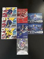 Sportzoo lot cartes série 25/26