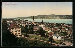 Wädenswil, Gesamtansicht des Ortes mit 
