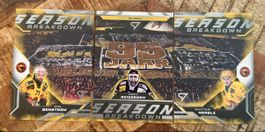 SportZoo Season Breakdown SCB Bern