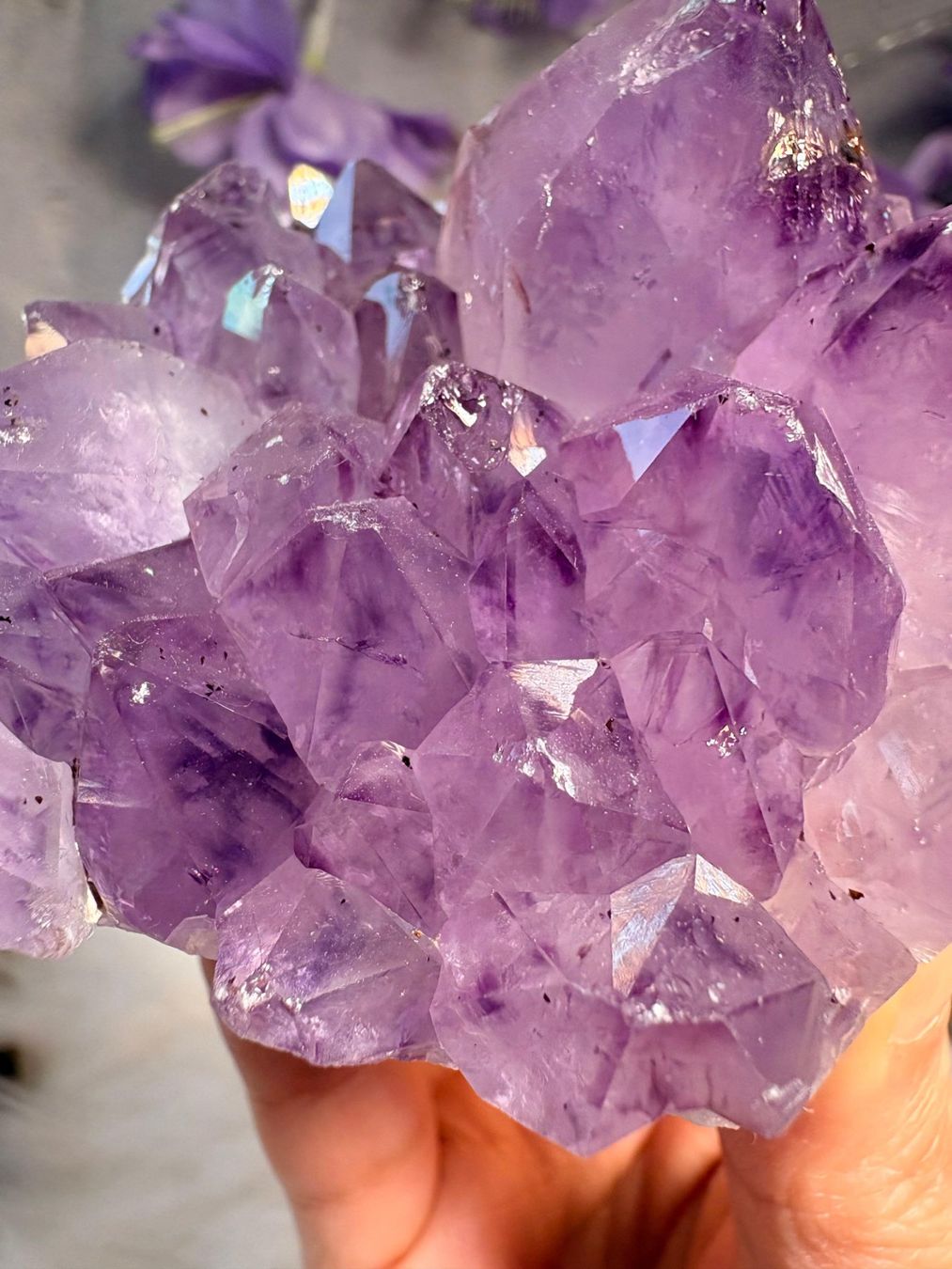 Minerali & Pietre curative: Amethyst Geode – Nuovo (secondo la descrizione) da Neuheim venduto da m.hald 2