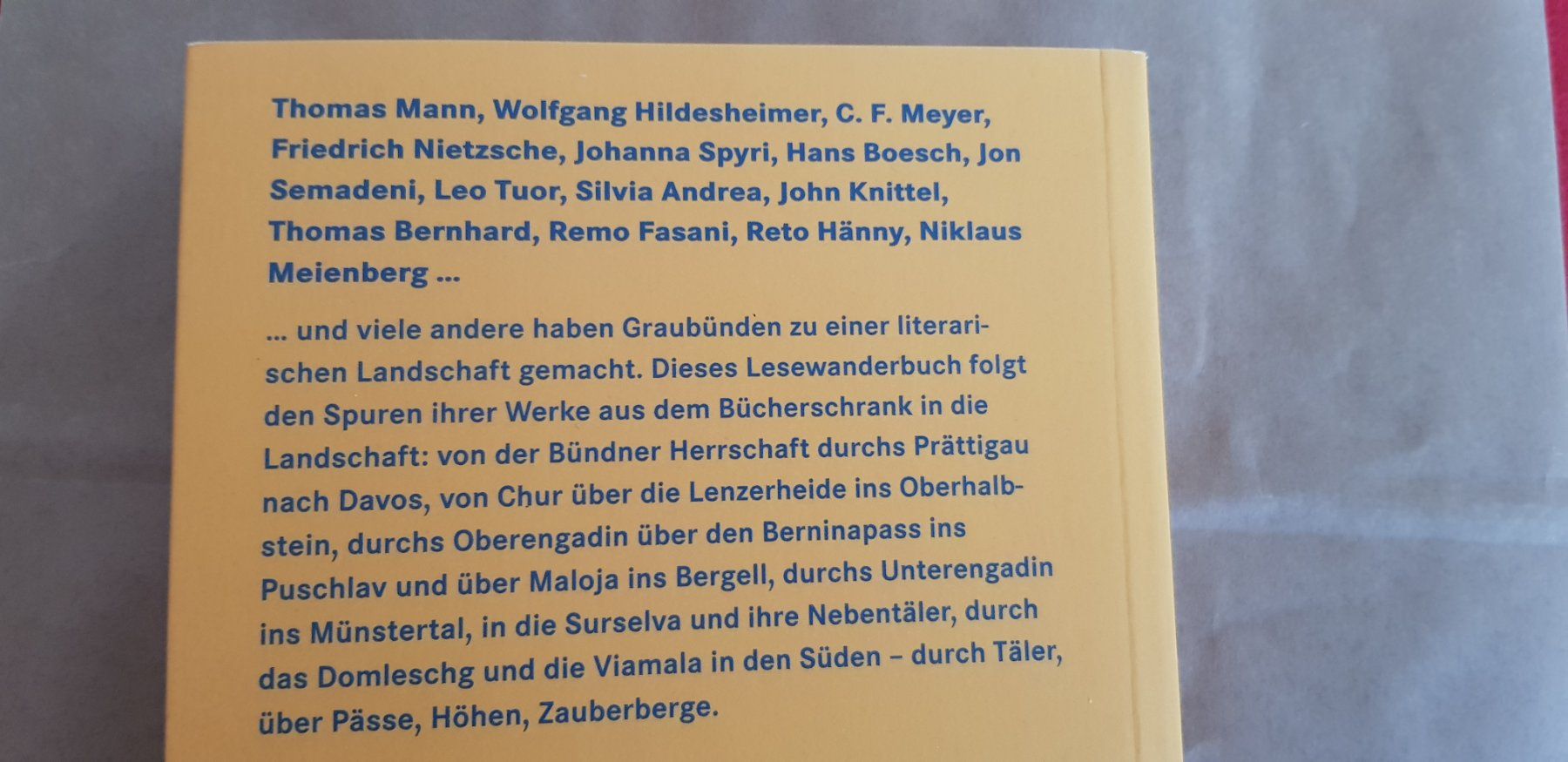 Libri: Literarische Wanderungen in Graubünden – Usato da Uster venduto da Astral 7