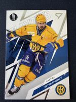 Matěj Stránský - HC Davos 