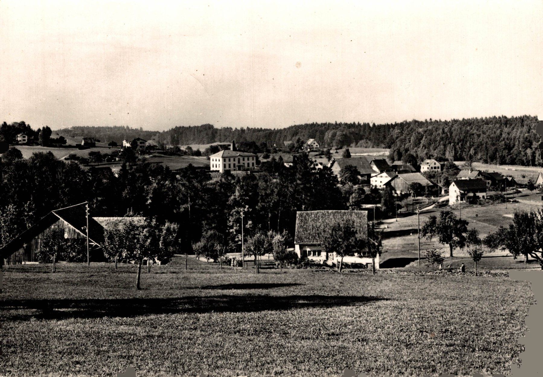 Cartoline postali: Wührenbach, Horgenberg – Usato da Bronschhofen venduto da Astore