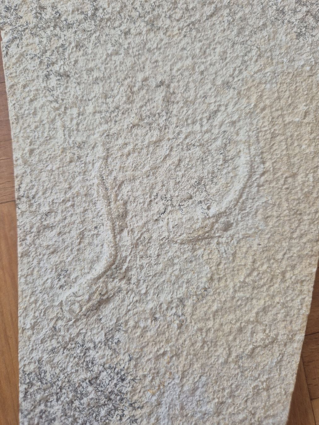 Fossiles: Fossil Fische  – D'occasion à Erlenbach ZH par Marielou222 1