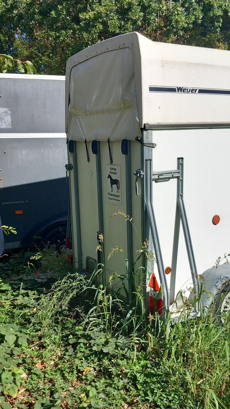 Rimorchi: Pferdeanhänger – Usato da Basel venduto da alleswaswotsch 2