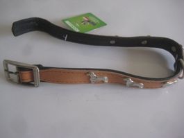 HUNDE  HALSBAND   DACKEL