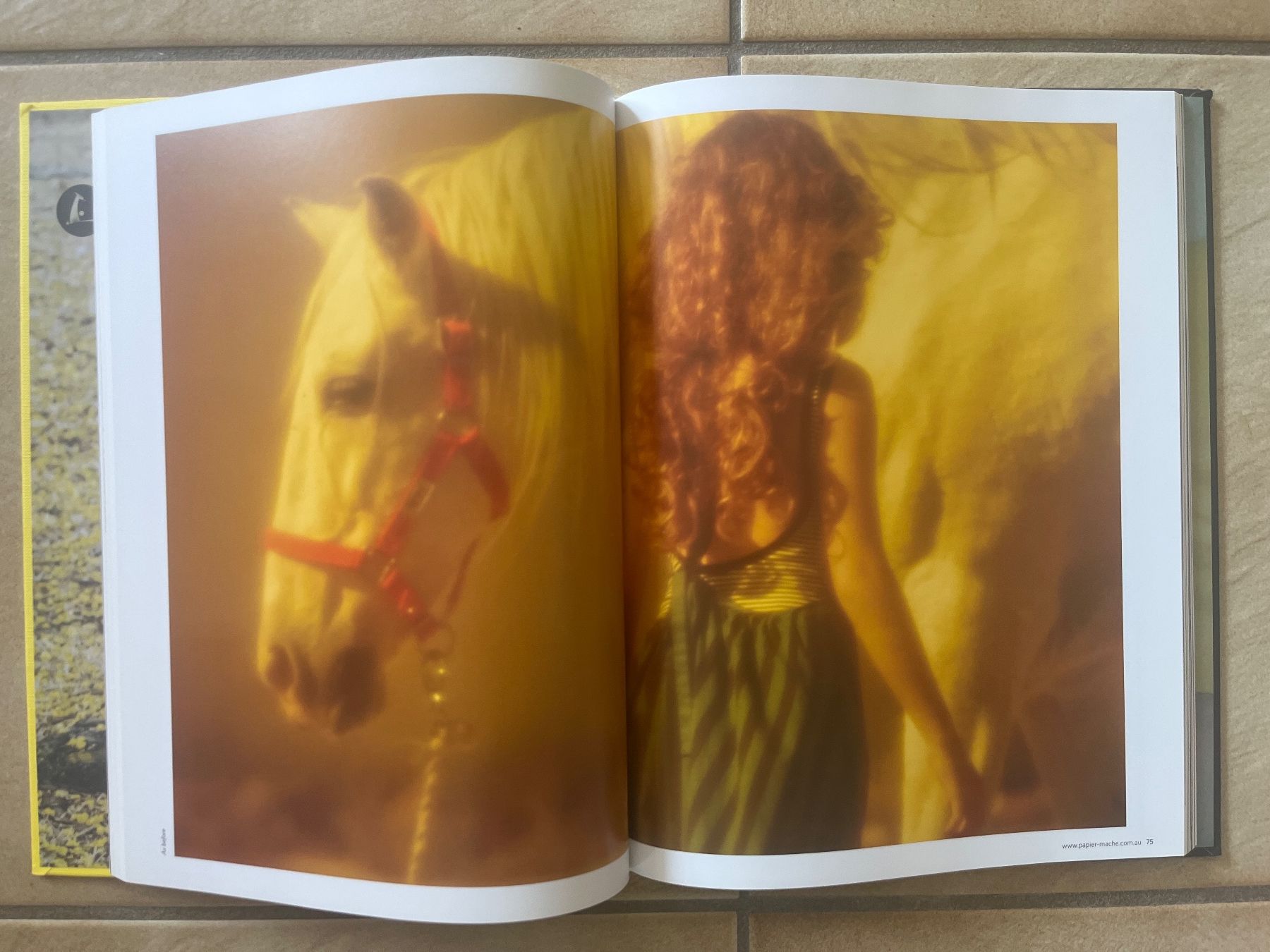 Bücher: Livre Papier Mache Play – Gebraucht aus Vernayaz von Darkfrost 2