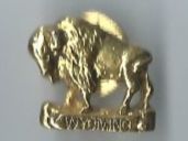 Bison  Wyoming , Pin