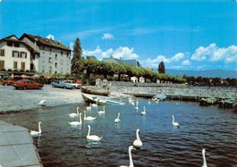 Versoix, Le Port