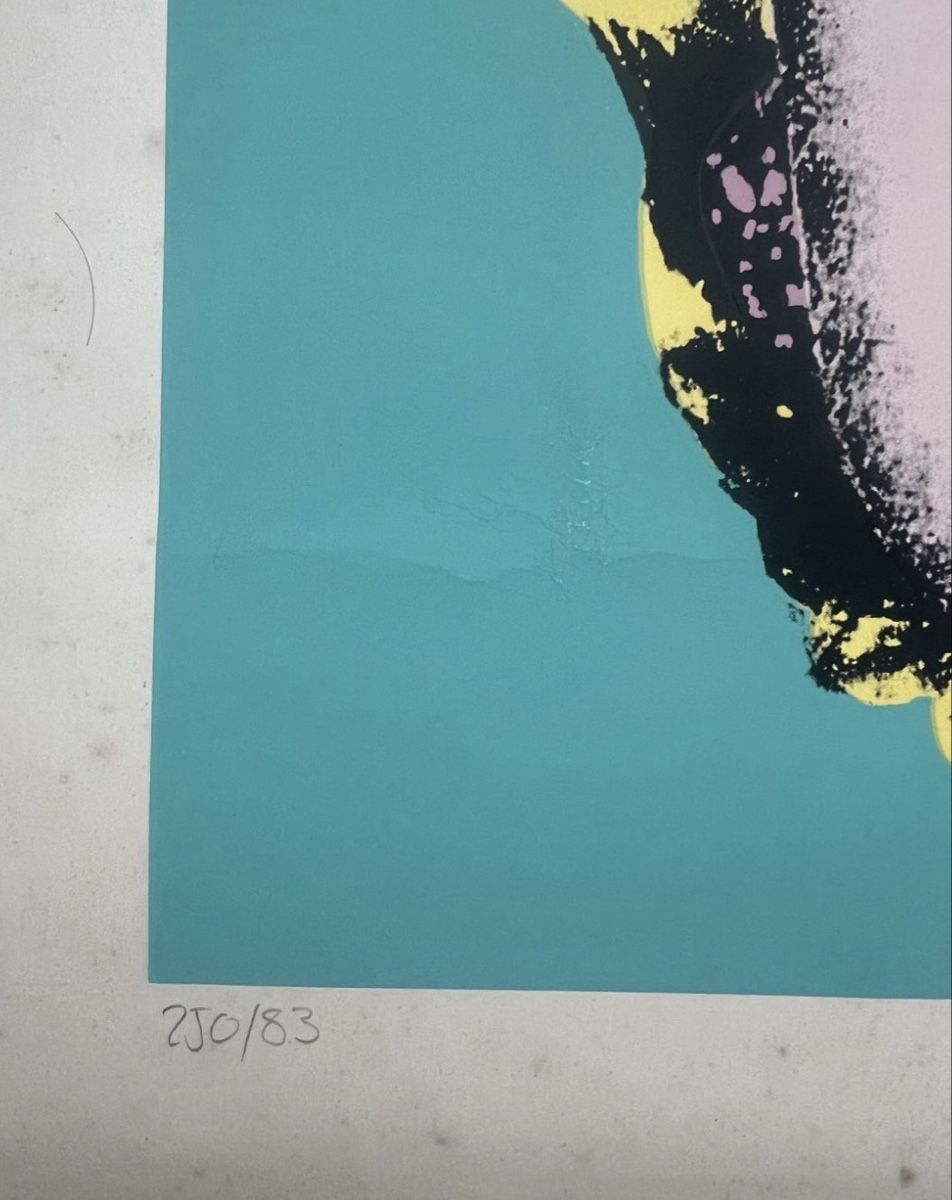 Grafica & Litografie: Andy Warhol, Siebdruck – Usato da Rain venduto da Pic-Ass 2