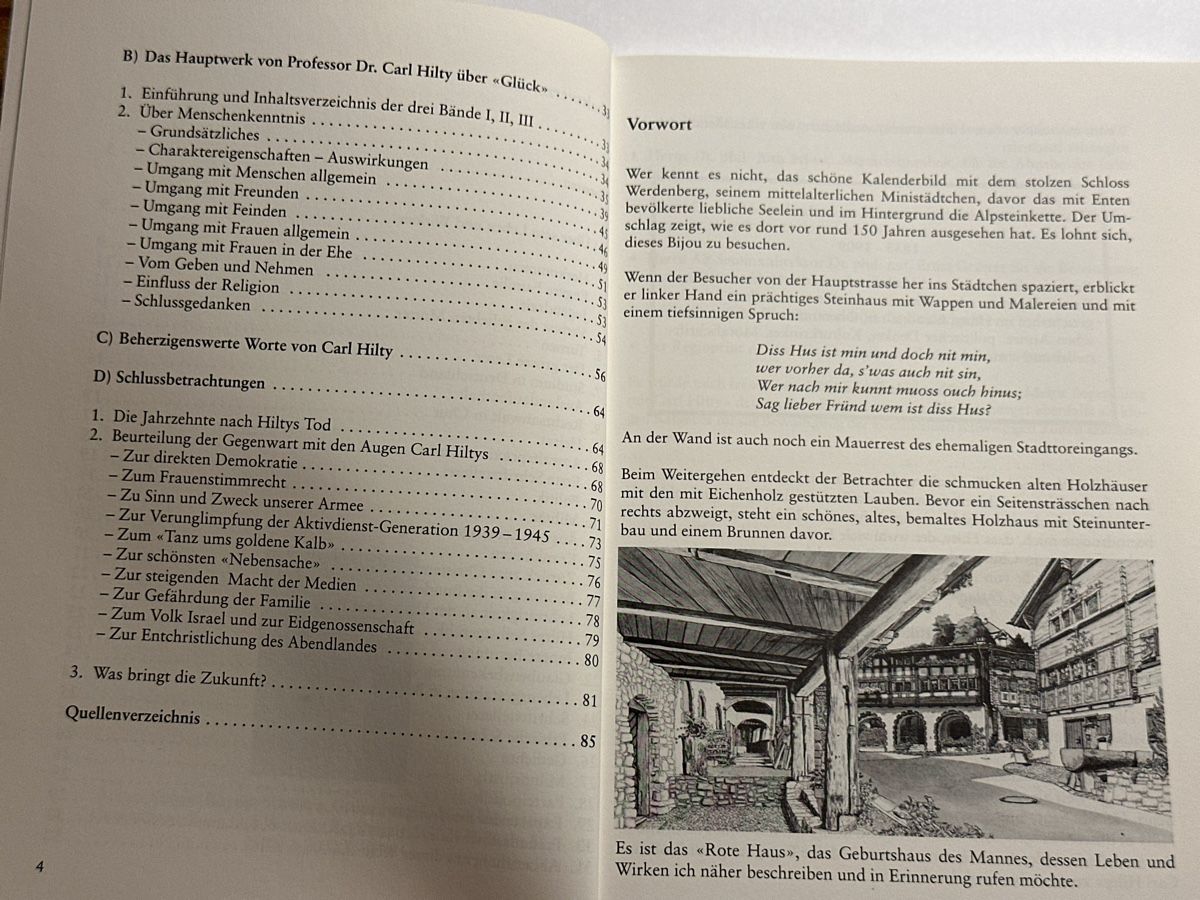 Libri: Carl Hilty Werdenberg Bern – Usato da Berschis venduto da Vild1 2