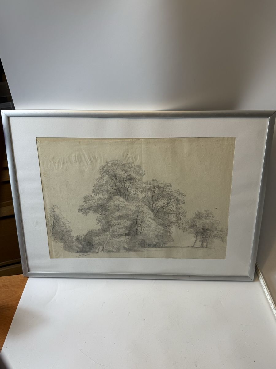 Gemälde: A. Howarth Zeichnung Bauerneiche, ca. 1850 – Gebraucht aus Grenchen von swiss.antiques