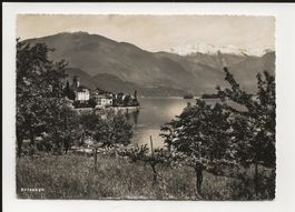 AK 1949  Brissago am Lago Maggiore