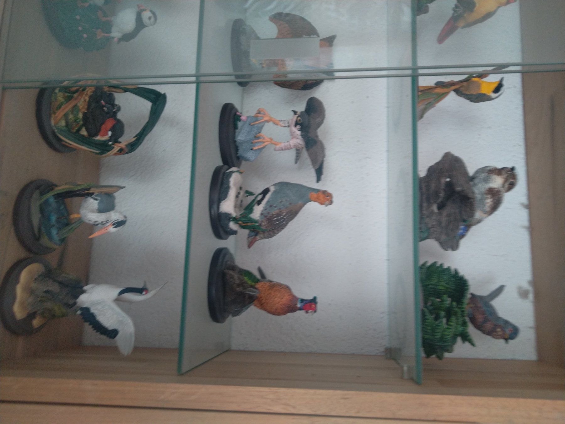 Tutte le decorazioni: A vendre collection de 80 oiseaux – Usato da Tramelan venduto da and_j8tk 6