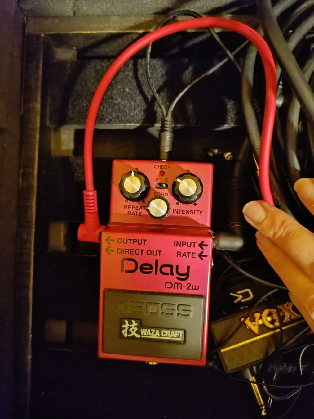 Boss Musikinstrumente: Delay DM-2W von Boss – Neu (gemäss Beschreibung) aus Biberist von Belzebu 1