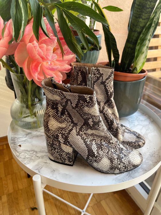 Bottines serpent Acheter sur Ricardo