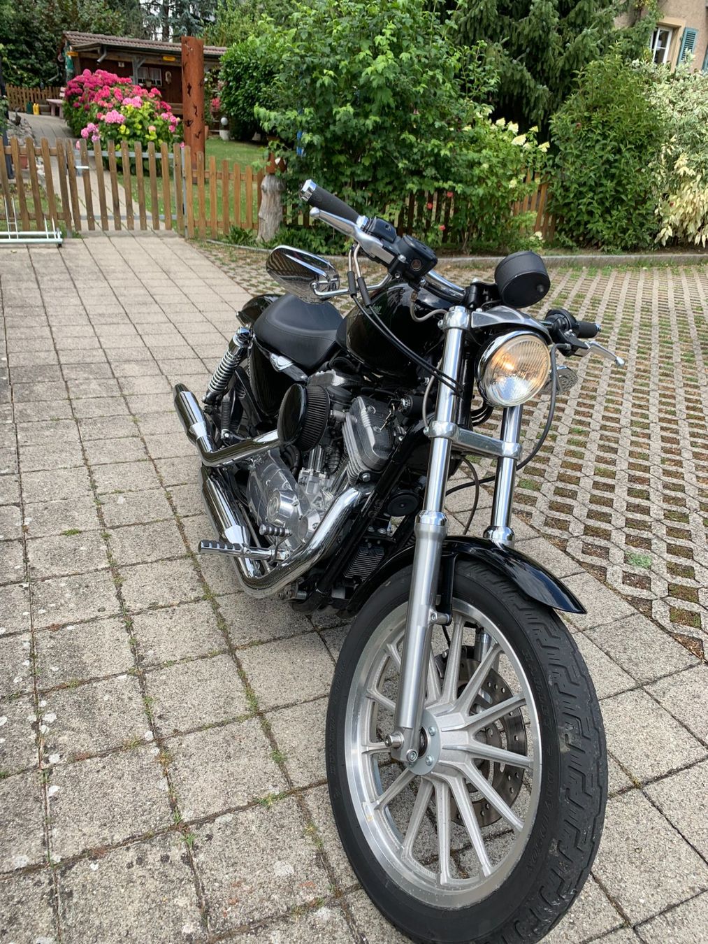 Harley-Davidson Chopper: HARLEY-DAVIDSON SPORTSTER XLH883 – Gebraucht aus Solothurn von Nyt 1