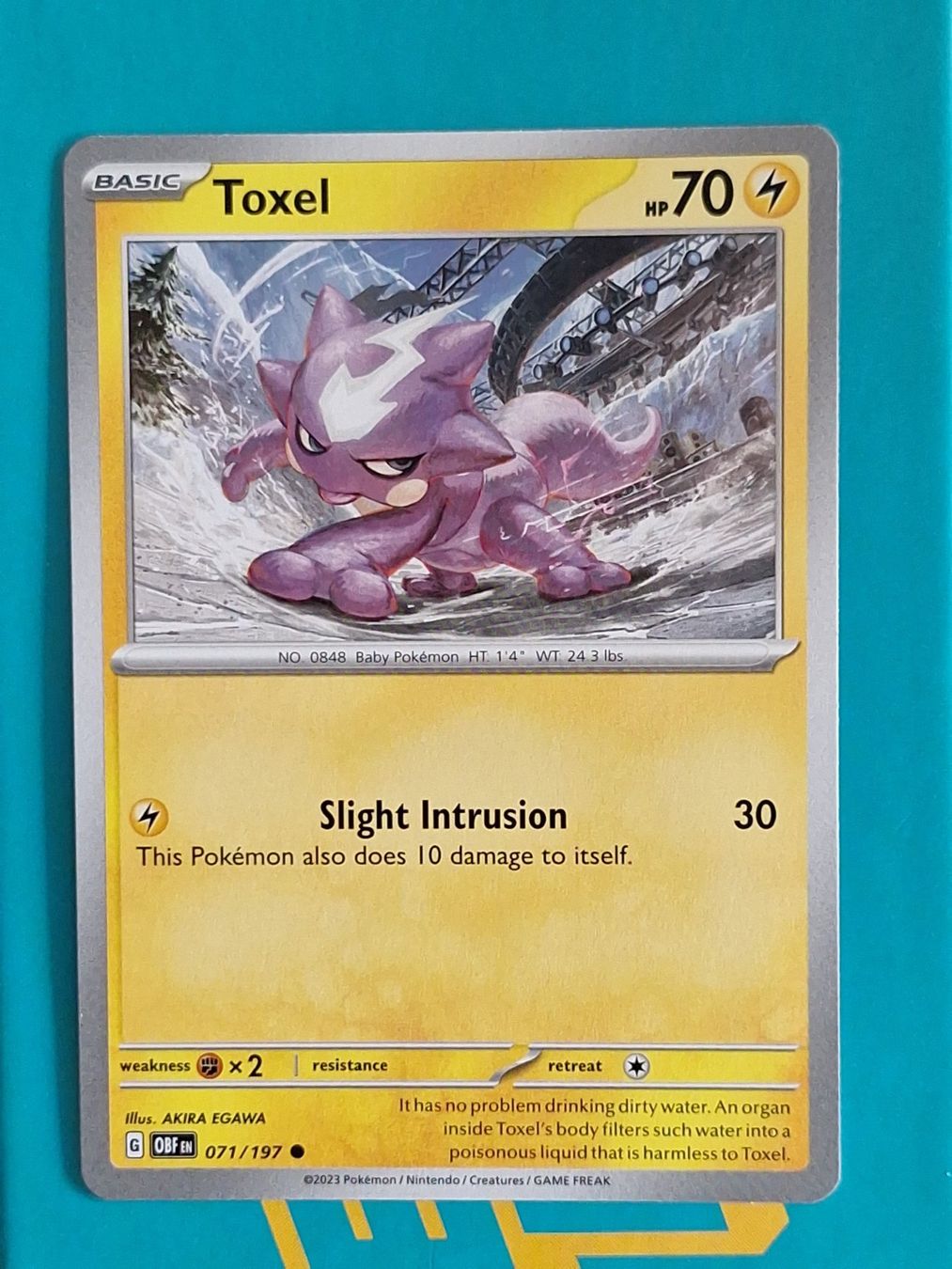 Pokémon Carte collezionabili: Toxel - Pokemon Obsidian Flames – Usato da Altstätten SG venduto da GGsGameshop