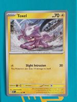 Toxel - Pokemon Obsidian Flames