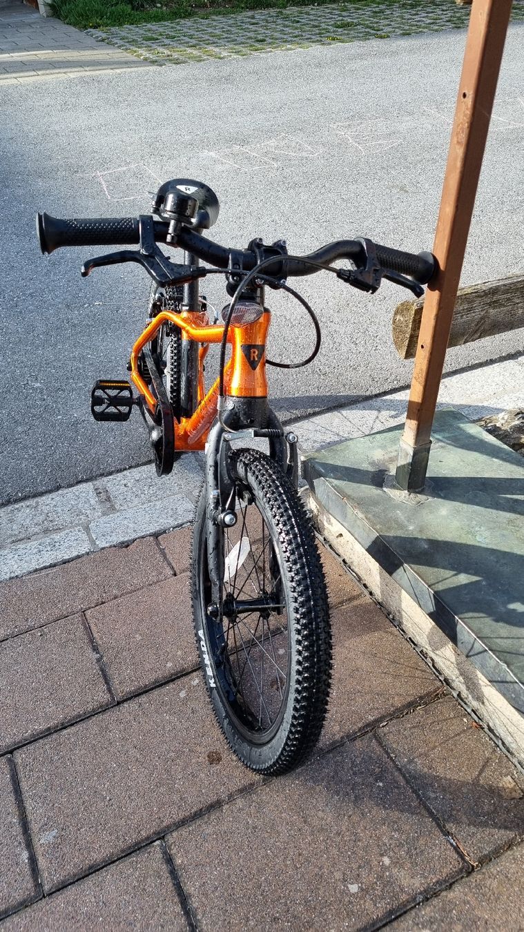 Biciclette: Rascal Bike 16" 5.5kg – Usato da Disentis/Mustér venduto da FaFubi 1