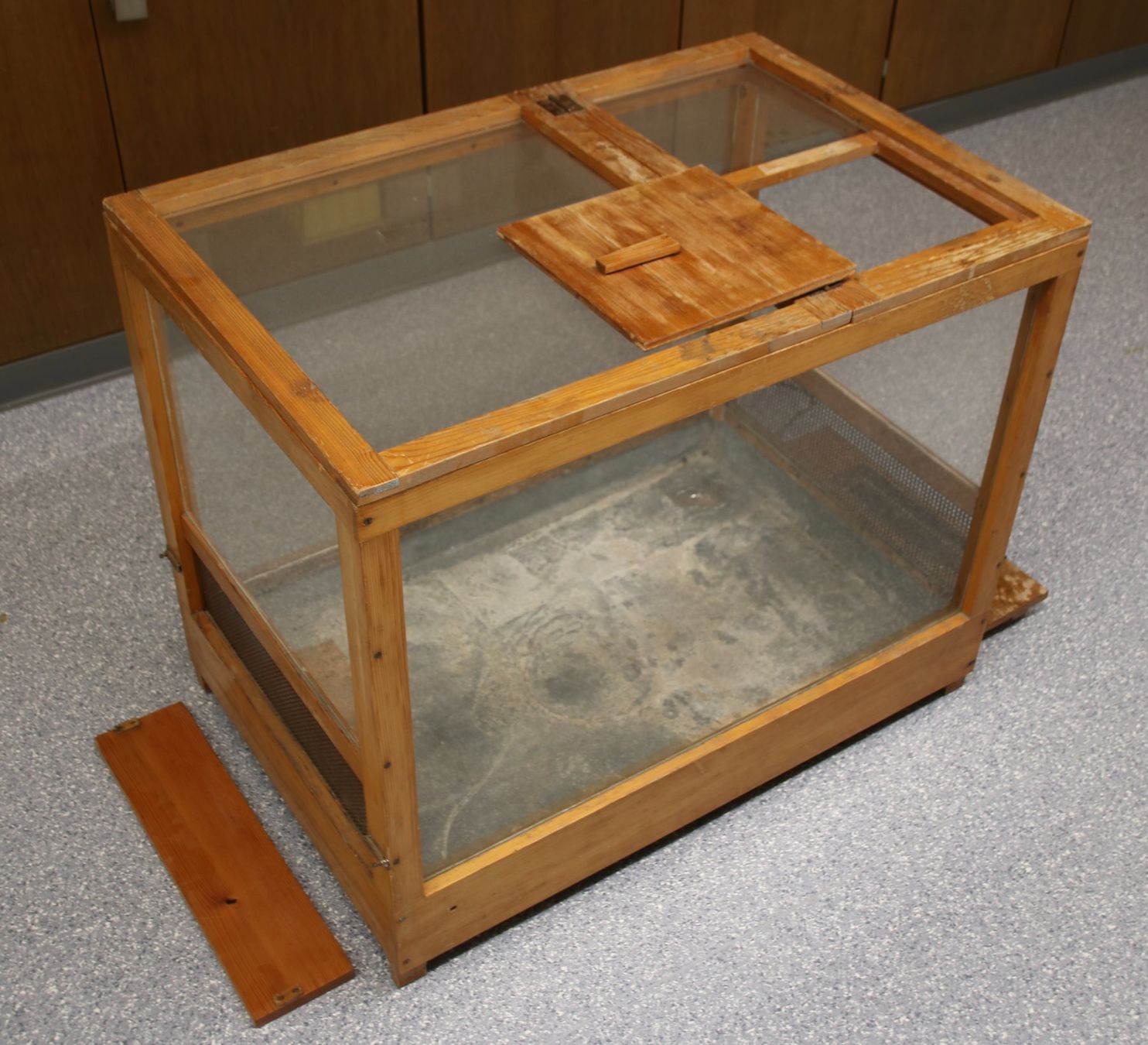 Terrarium: Terrarium – Gebraucht aus Sulgen von Harfe73 4