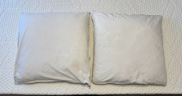 2 Kissen inkl. 4 Kissenbezüge