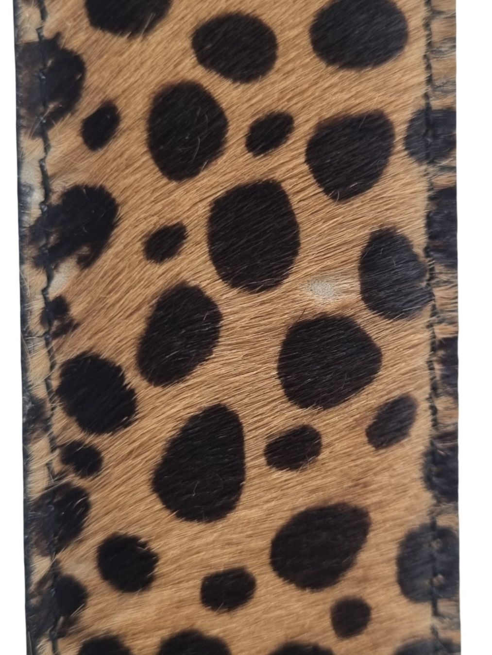 Cinture: DOLCE & GABBANA Gürtel mit Leoparden-Muster – Usato da Wangen b. Olten venduto da Restwert_Wangen 3