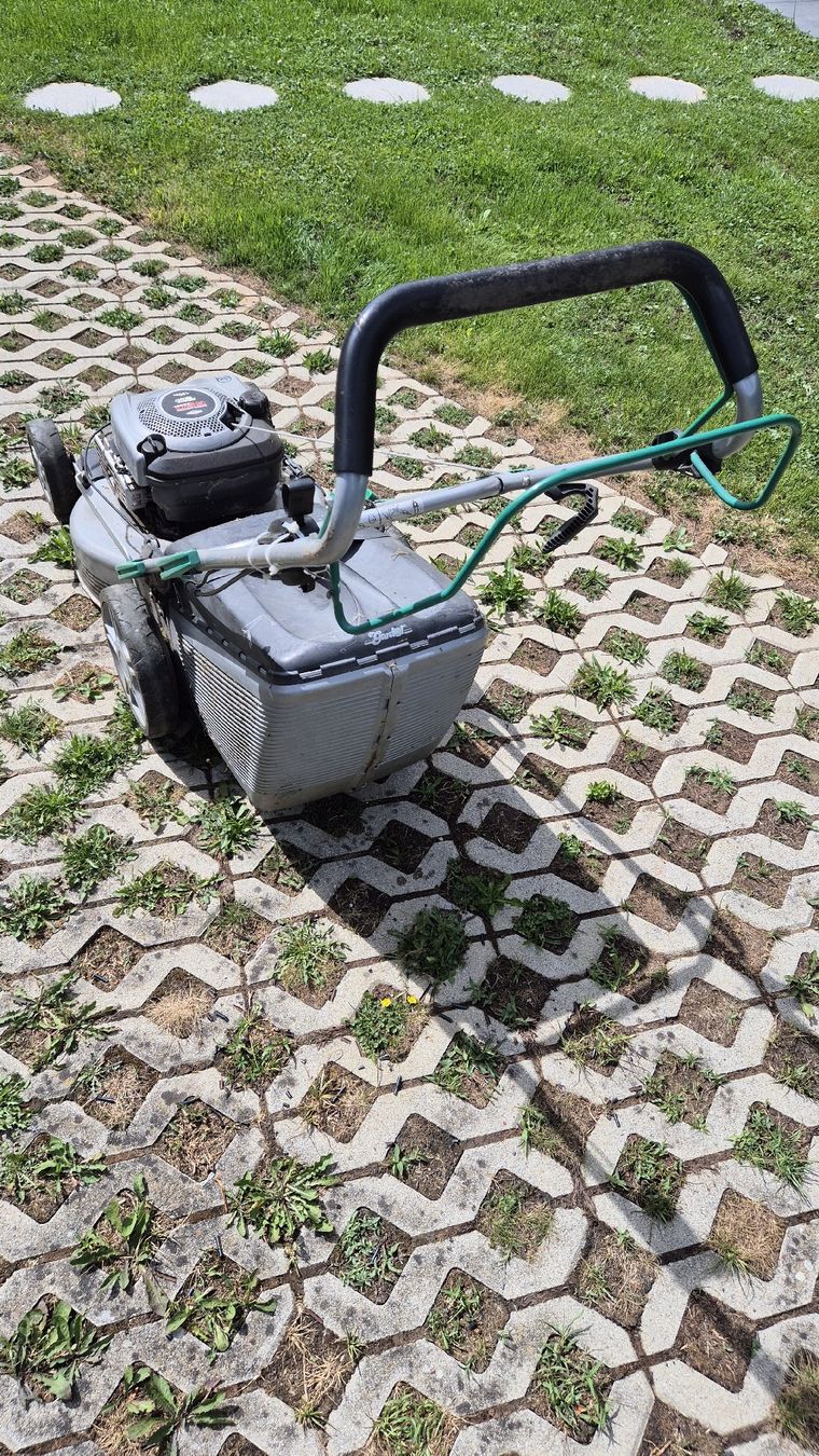 Tagliaerba: Rasenmäher 650 Briggs & Stratton Motor 190cc – Difettoso da Frasnacht venduto da monster-350 5