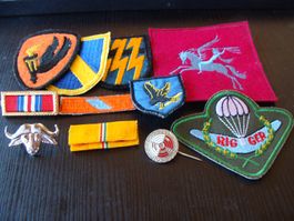 Lot d'insignes et badges de para