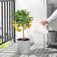 Graue Giesskannen 1.2l, 4 Stk, IKEA, zum Basteln etc.