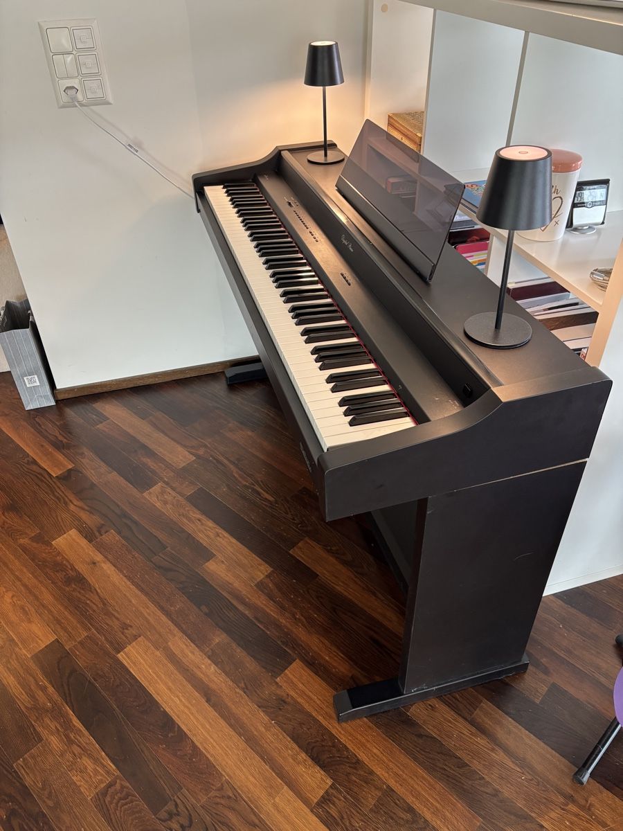 Technics Musikinstrumente: E-Klavier Technics PX 22 – Gebraucht aus Au ZH von glovefish 8