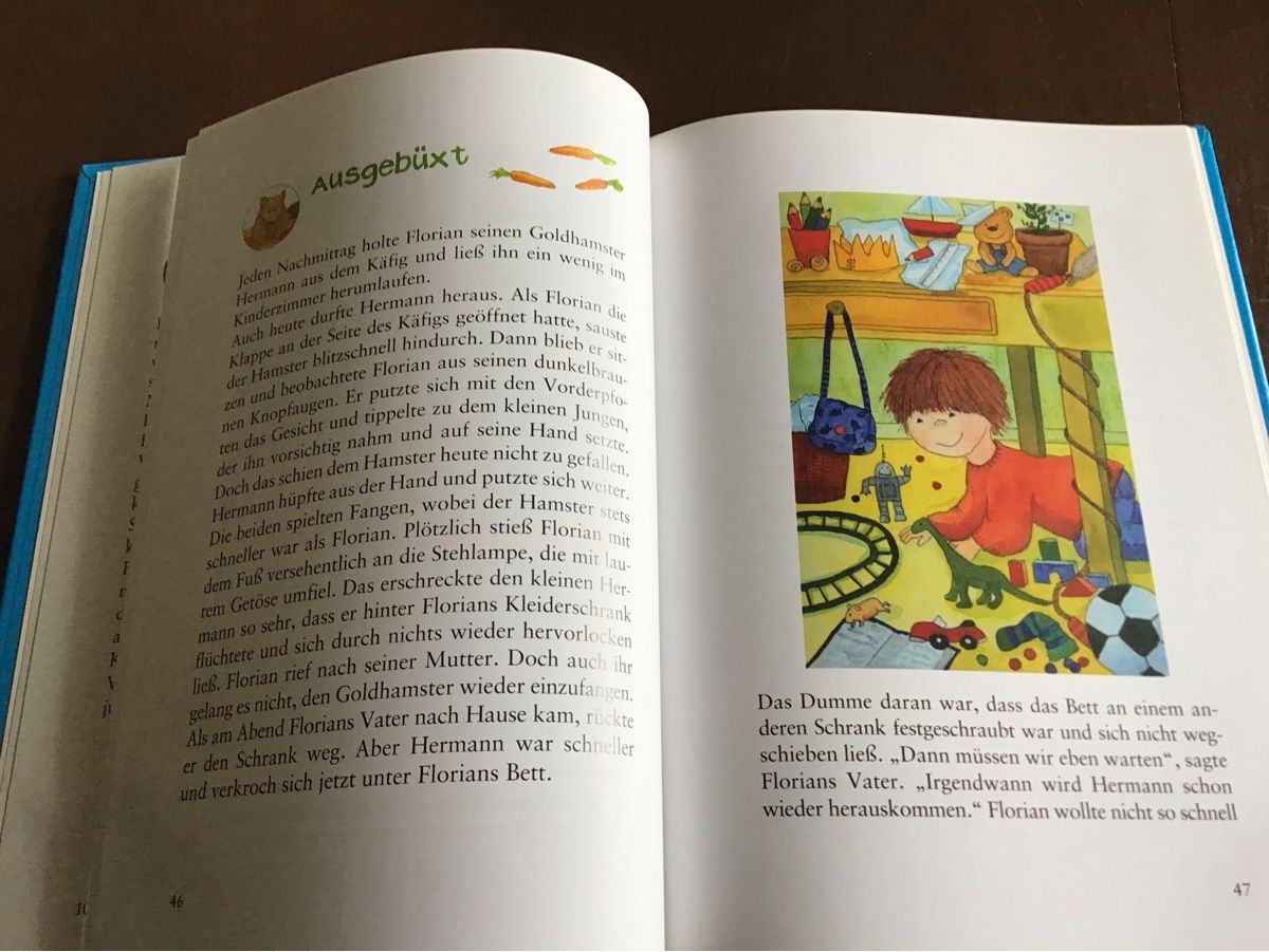 Libri: Kinderbuch "Meine spannendsten Vorlese-Geschichten" – Usato da Greifensee venduto da staebli82 2