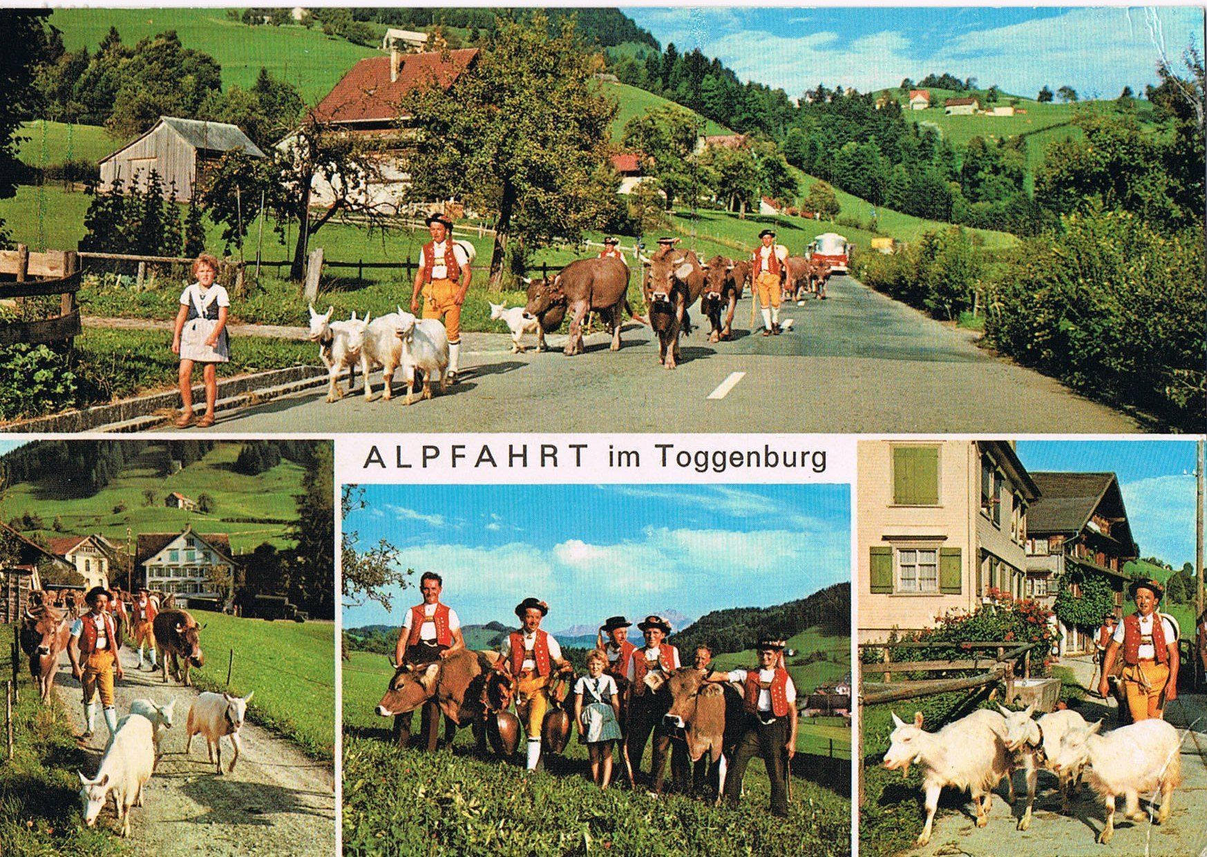 Cartoline postali: TOGGENBURG Alpfahrt, 4-Bilder-AK – Usato da Buchs AG venduto da Baerfisch