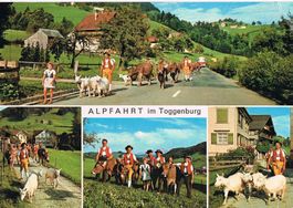 TOGGENBURG Alpfahrt, 4-Bilder-AK