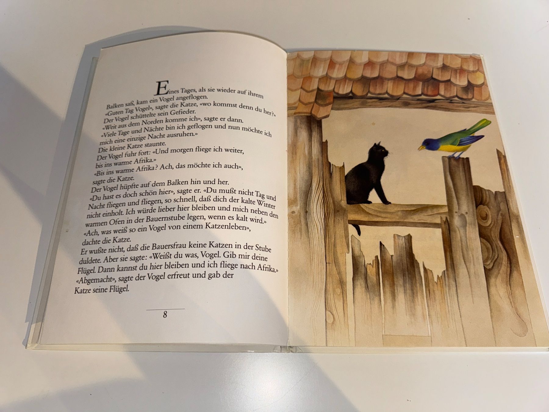 Libri: BUCH: Emil Zopfi, Die fliegende Katze – Usato da Grosswangen venduto da Kleine.Knoepfe 4