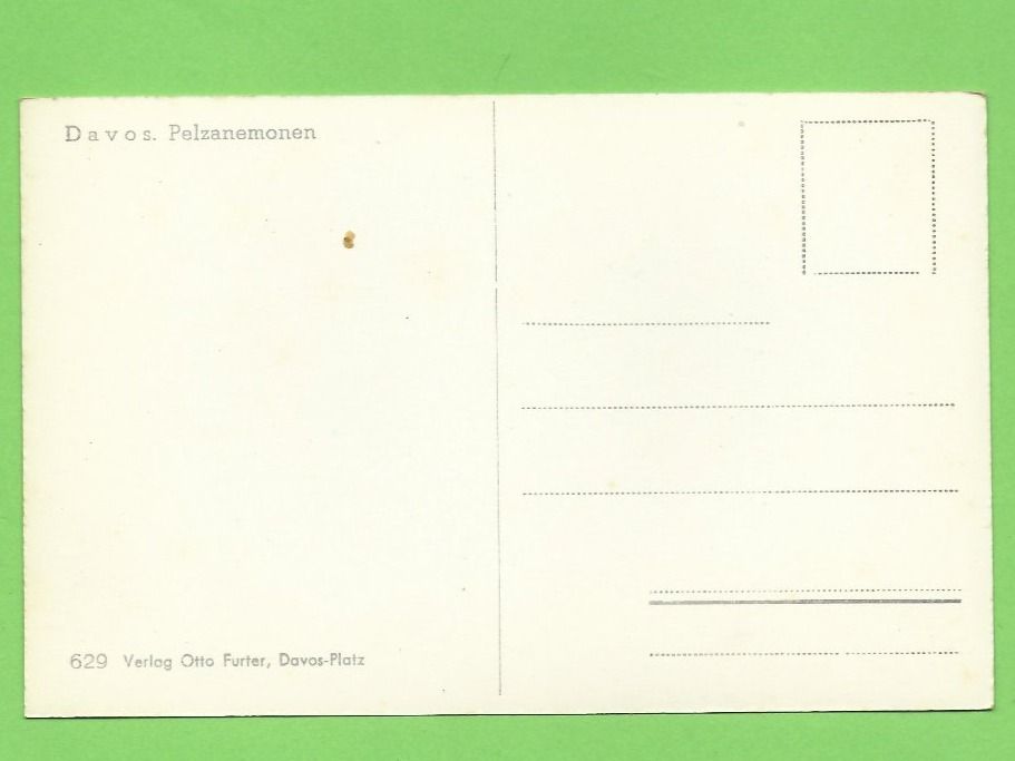 Cartoline postali: Davos, Pelzanemonen – Nuovo (secondo la descrizione) da Zürich venduto da t24_de 1
