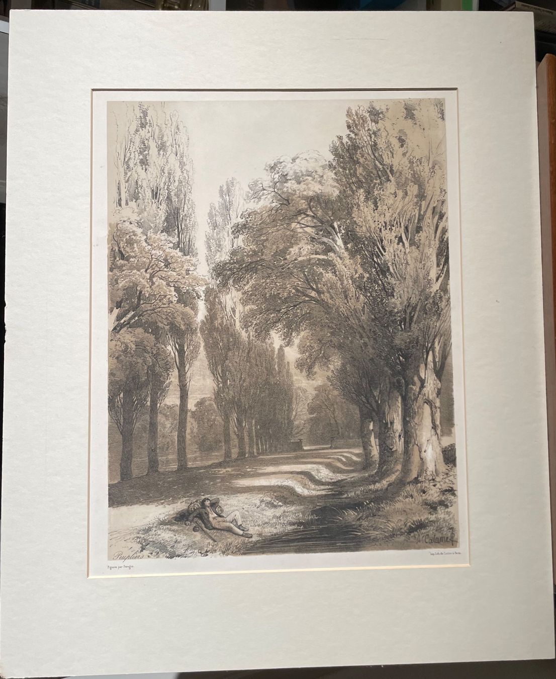 Arts picturaux & lithographies: Al. Calame lithographie Peupliers – D'occasion à Biel/Bienne par Galaq 1