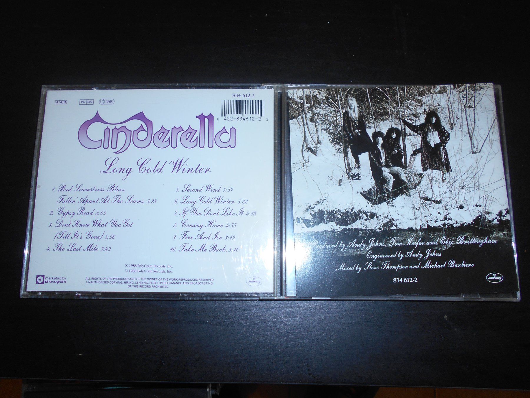 CDs: Cinderella – Long Cold Winter / 1988 – D'occasion à Aarberg par witchhunter01 1