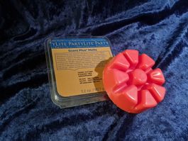 PartyLite - Melts Saftiger Roter Apfel