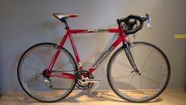 Cannondale CAAD8 SAECO - Grösse 58 / L