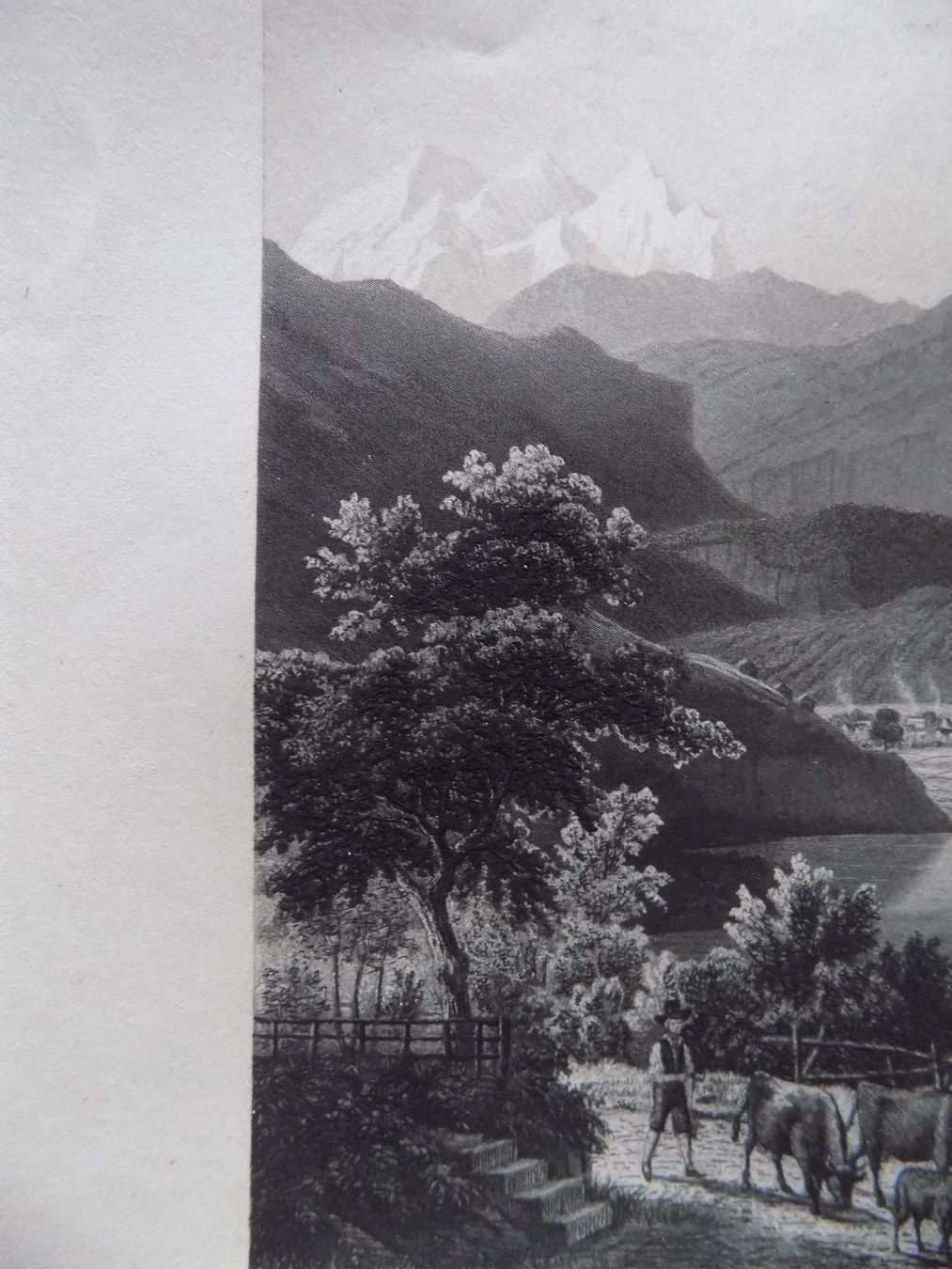 Incisioni: Lungernsee – Usato da Risch venduto da Rischli15 3