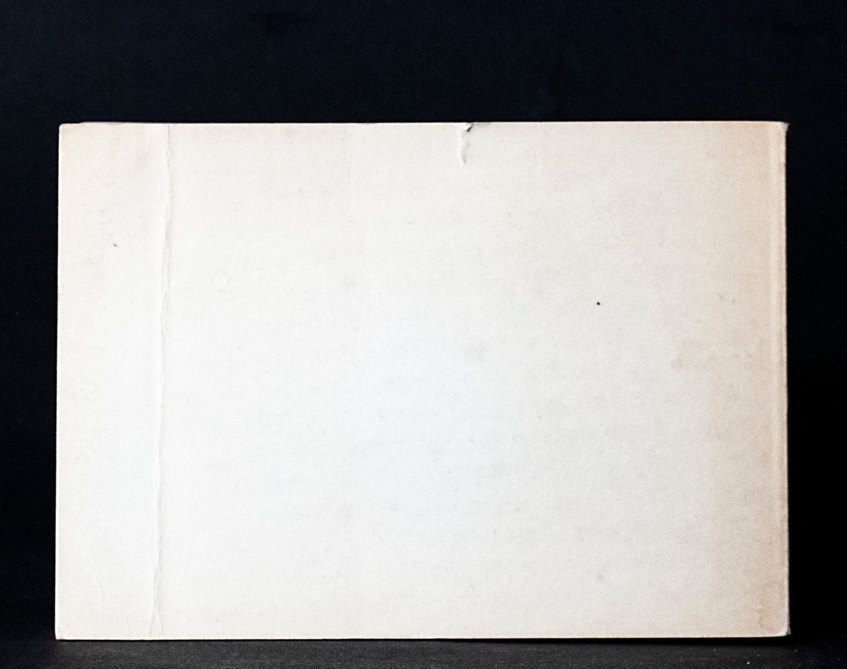 Libri: Aviators Recognition Manual FM1.88 – Usato da Fraubrunnen venduto da waver3d 1