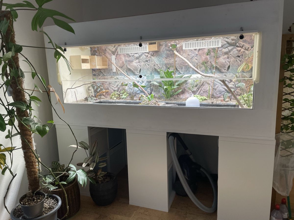 Terrario: Voliere/Terrarium Eigenbau  – Usato da Beromünster venduto da sie_7gkf