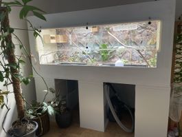 Voliere/Terrarium Eigenbau 