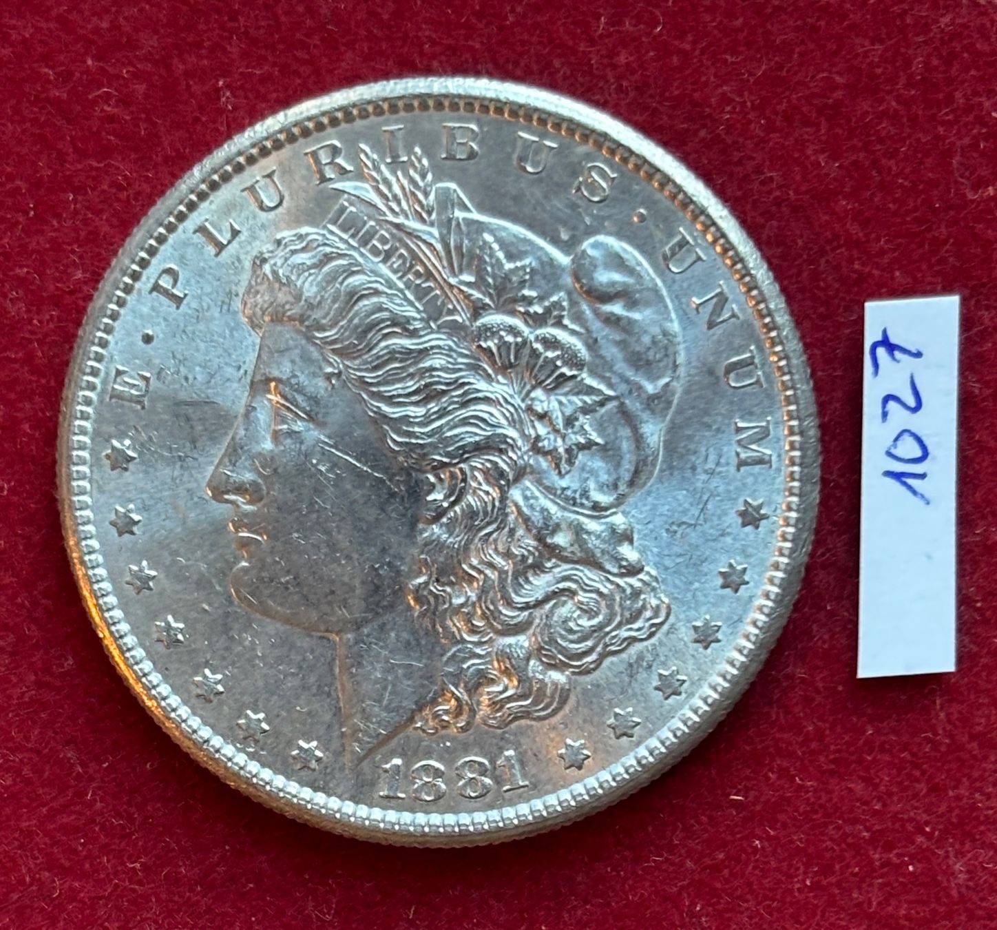 Tutti le monete: 1027 1 Dollar 19881 Silber USA – Usato da Baar venduto da bricksandmore
