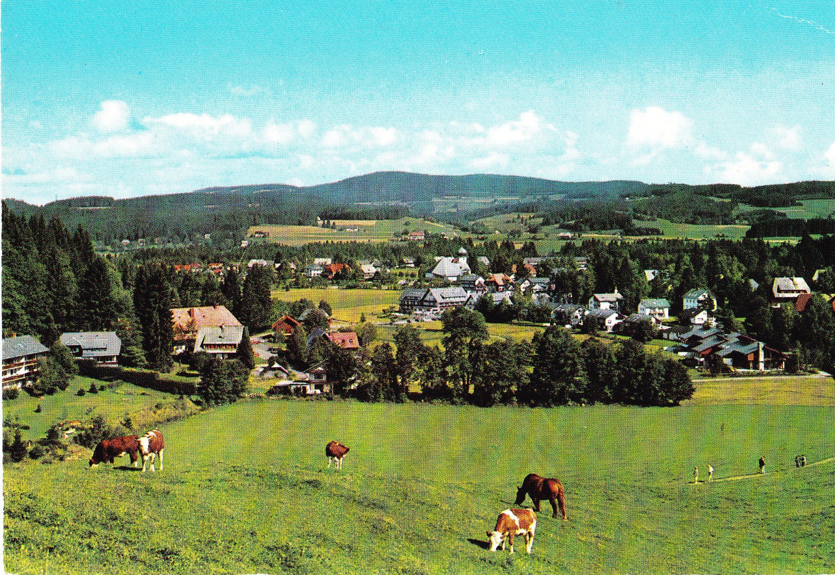 Cartes postales: AK Hinterzarten, ungelaufen, um 1978 – D'occasion à Obfelden par Funke2
